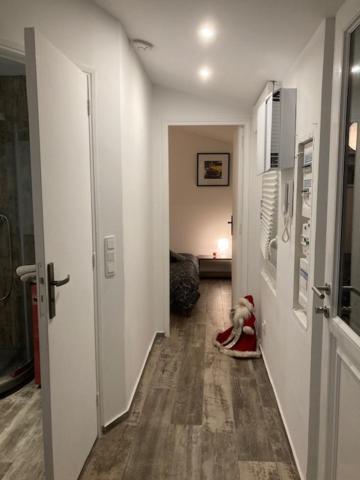 Appartement Mozart ストラスブール エクステリア 写真